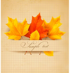 Autumn background with colorful leaves vector image