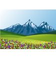 Flower field vector image