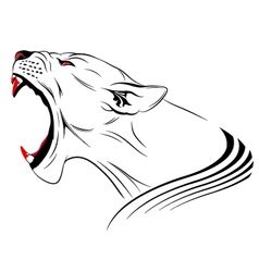Lioness vector image