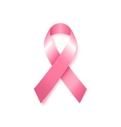 Breast cancer awareness pink ribbon vector image