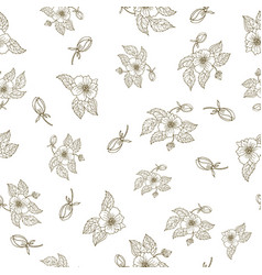 Hand drawing peony flowers seamless pattern Hand drawing peony flowers seamless pattern vector image