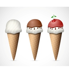 The ice cream vector image