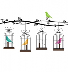 Bird cages vector image