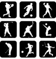 Ball sport icons vector image