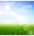Green field vector image