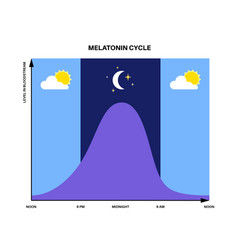 Sleep wake cycle Royalty Free Vector Image - VectorStock