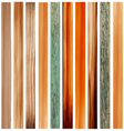 Colorful Texture of Wood vector image