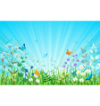 Sunny meadow horizontal version vector image