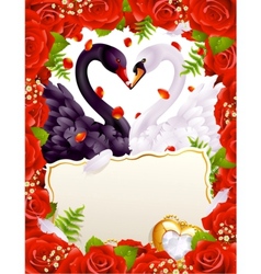 Greeting card with swans in love vector image