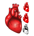 Heart2 vector image