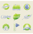 Nature labels badges with leaves flowers vector image