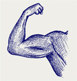 Strong biceps vector image