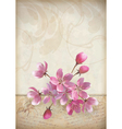 Realistic cherry blossom flower arrangement vector image