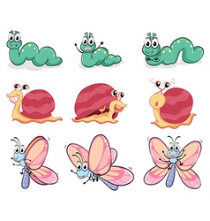 A caterpillar butterfly and a snail vector image