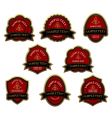 Set of red vintage labels vector image