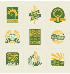 Wheat labels and badges vector image
