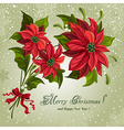 Poinsettia vector image