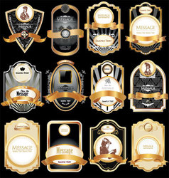 Gold framed labels vector image