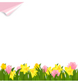 Spring flowers vector image