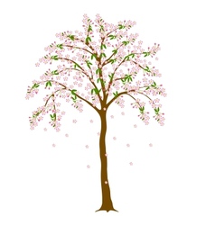 blossom tree vector image vector image