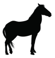 Horse silhouette vector image