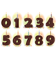 Chocolate numbers candles for holiday cake vector image