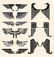 Wings tattoo vector image