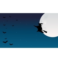 Silhouette of halloween witch and bat Silhouette of halloween witch and bat vector image