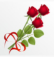 Roses vector image