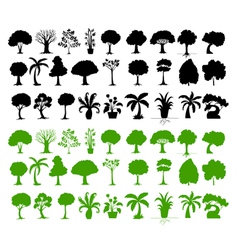 Tree Silhouettes Collection vector image