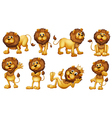 Brave lions vector image