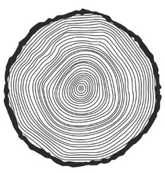 Conceptual background with tree-rings Conceptual background with tree-rings vector image