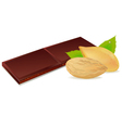 Chocolate and almonds vector image