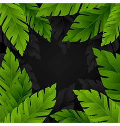 Banana palm leaves background vector image