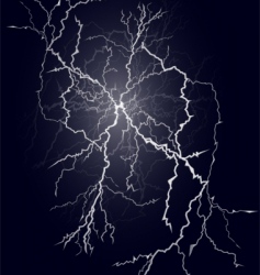 Flash vector image