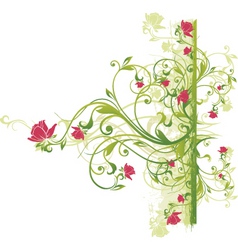 Floral vine graphic vector image