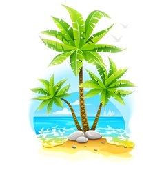 Coconut palm trees at tropical vector image
