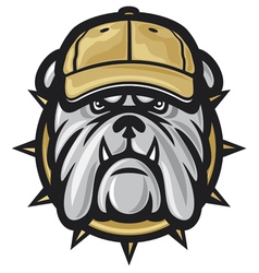 Bulldog head and baseball cap vector image