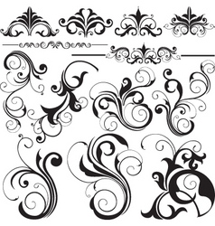 Floral design elements vector image