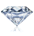 Diamond vector image