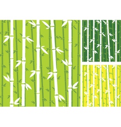 Bamboo background vector image