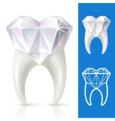 Teeth strong as diamond vector image