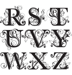 Script capitals vector image