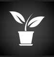 Plant in flower pot icon Plant in flower pot icon vector image