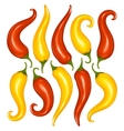 Hot chilli pepper set isolated on white vector image