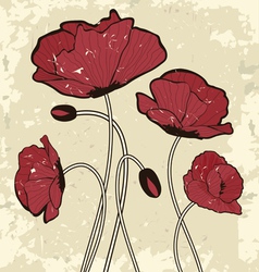 Retro style poppy flowers vector image