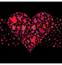 Heart a bird vector image