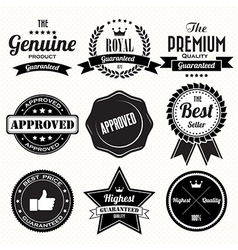 Set of retro vintage badges and labels vector image