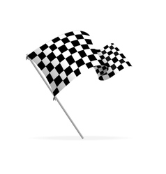 Racing flag vector image