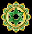 Hindu chakra anahata medallion Hindu chakra anahata medallion vector image